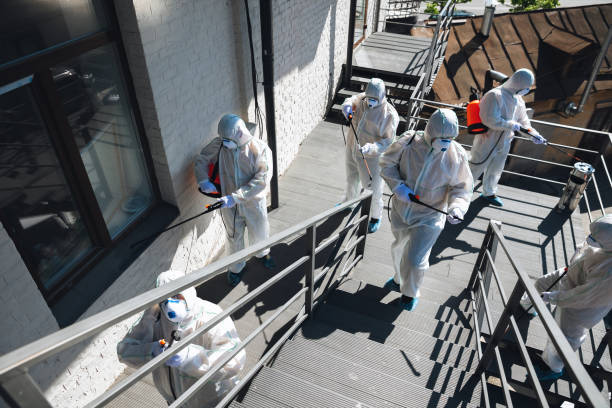 Best Mold Damage Restoration  in Murraysville, NC